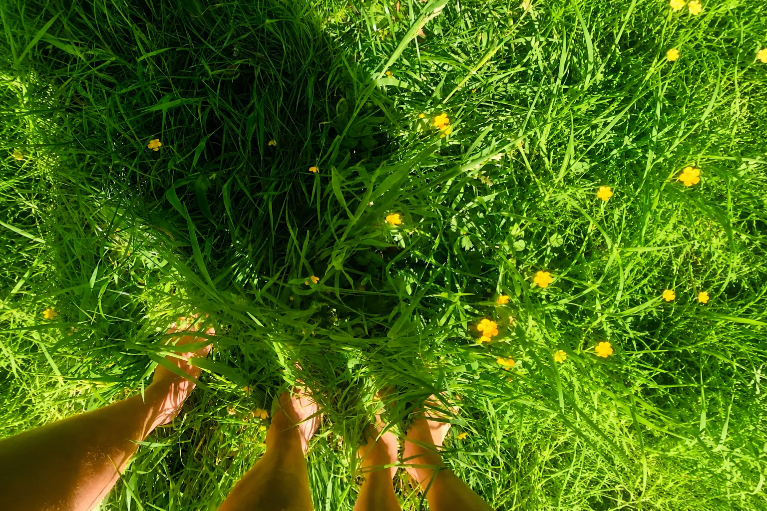 Feet Grounding: What It Is and How to Try It