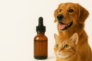 Colloidal Silver for Dogs and Cats: A Natural Care Guide